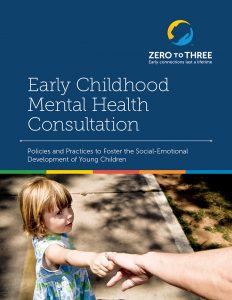 Download the Early Childhood Mental Health Consultation: Policies and Practices to Foster the Social-Emotional Development of Young Children (PDF) here.