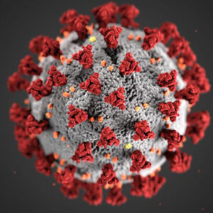 Coronavirus model.