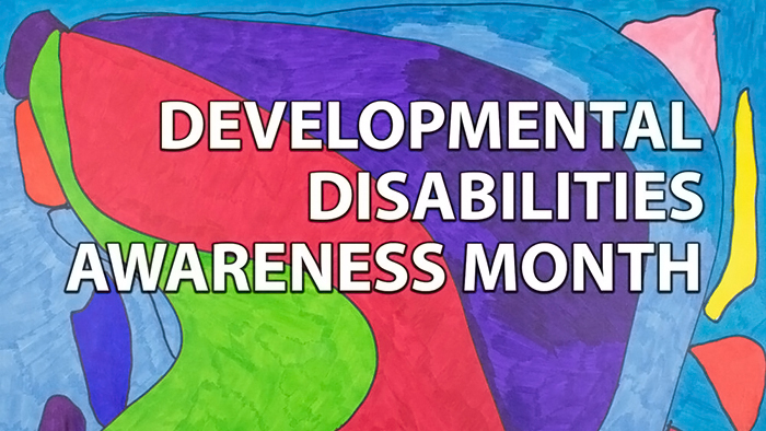 Abstract art pattern with the words, Developmental Disabilities Awareness Month, written in white text.