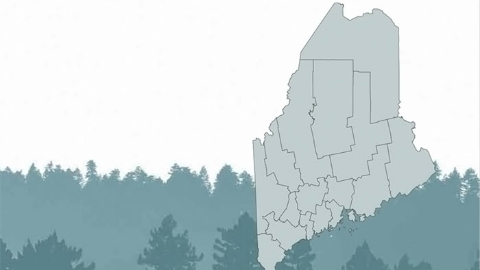 Gray county-by-county map of Maine with an evergreen forest background on the lower half and a white background on the upper half.