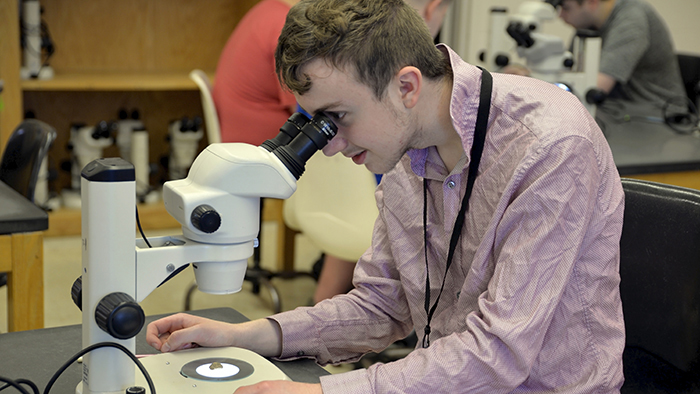 Male student in a lab examining a marine specimen under a microscope.