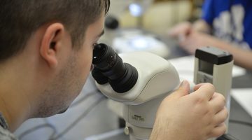 Step Up student examining a marine specimen under a microscope in a lab setting.