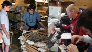 Photo collage of Zachary Johnson and Todd Nason as high school students volunteering in scientific work settings.