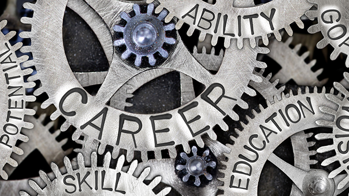 A series of metal cog wheel gears stamped with the words: potential, skill, career, ability, education, goal and vision.